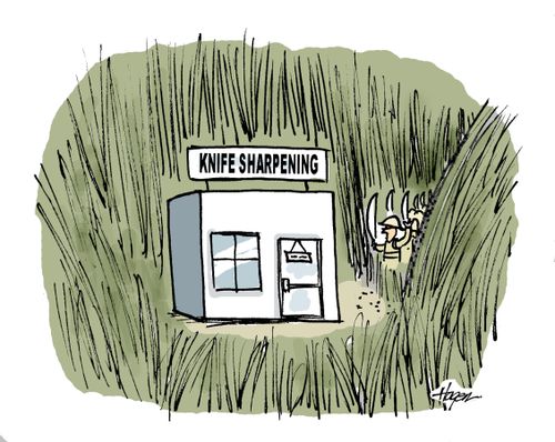 Explorers come across knife sharpening business in jungle.