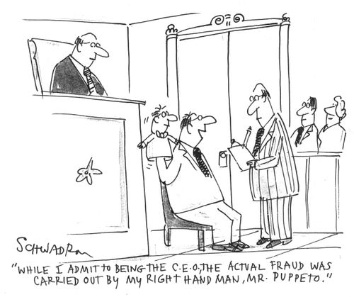 'While I admit to being the C.E.O., the actual fraud was carried out by my right hand, Mr. Puppeto.'