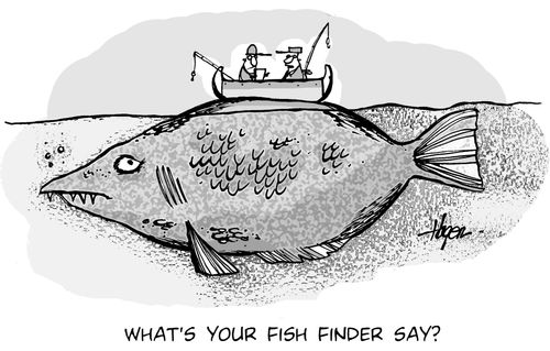 'What's your fish finder say?'