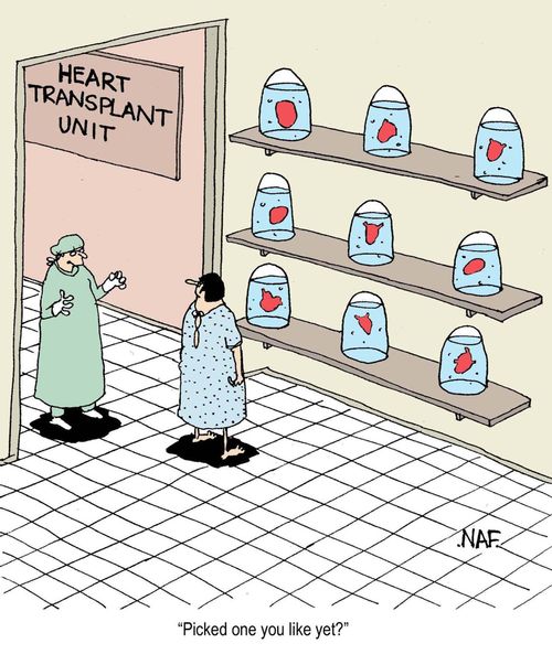 'Picked one you like yet?'