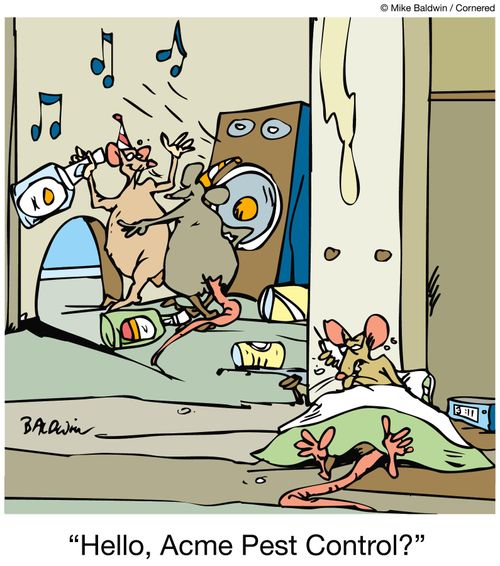 'Hello, Acme Pest Control?'