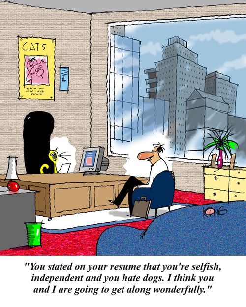 'You stated on your resume that you're selfish, independent, and you hate dogs.  I think you and I are going to get on wonderfully.'