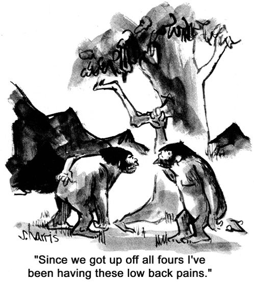 'Since we got up off all fours I've been having thse low back pains.'