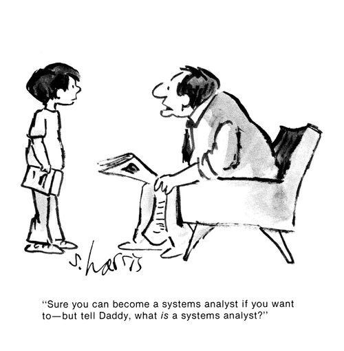 'Sure, you can become a systems analyst if you want to - but tell Daddy, what is a systems analyst?'