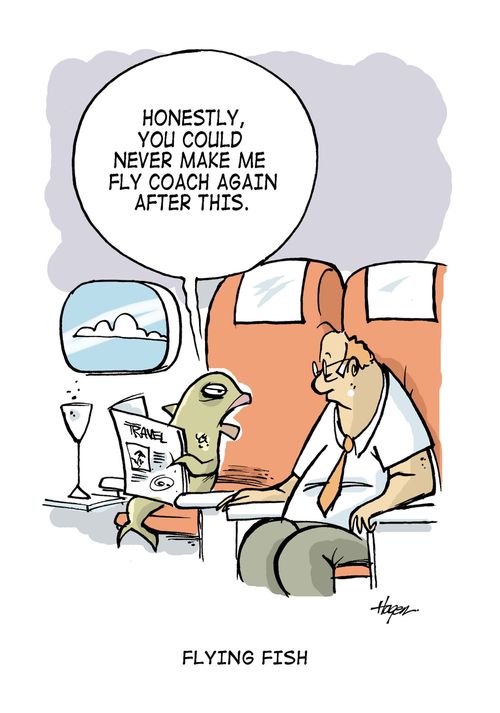 "Honestly, you could never make me fly coach again after this." - Flying Fish