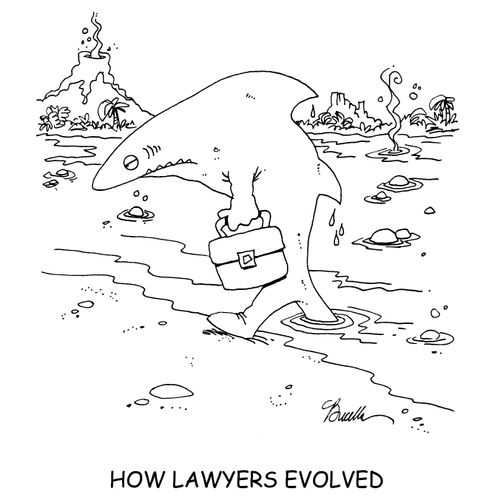 How Lawyers Evolved.