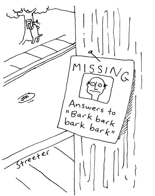 Missing human - answers to bark bark bark!