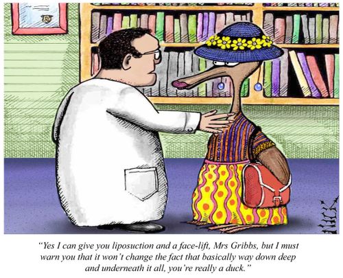 'Yes, I can give you lipo-suction and a face-lift, Mrs Gribbs, but I must warn you that it won't change the fact that basically, way deep down and underneath it all, you're really a duck.'