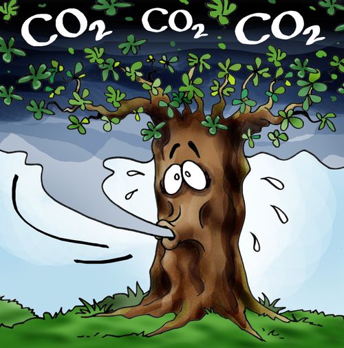 Sucking up Greenhouse gas.