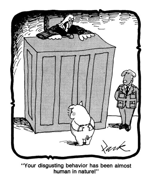 'Your disgusting behaviour has been almost human in nature!'