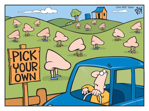 Pick your own.