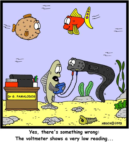 'Yes, there's something wrong: The voltmeter shows a very low reading...'