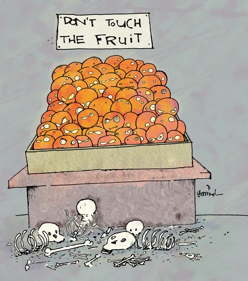 Wild fruit