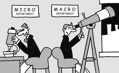 Micro and Macro Department,