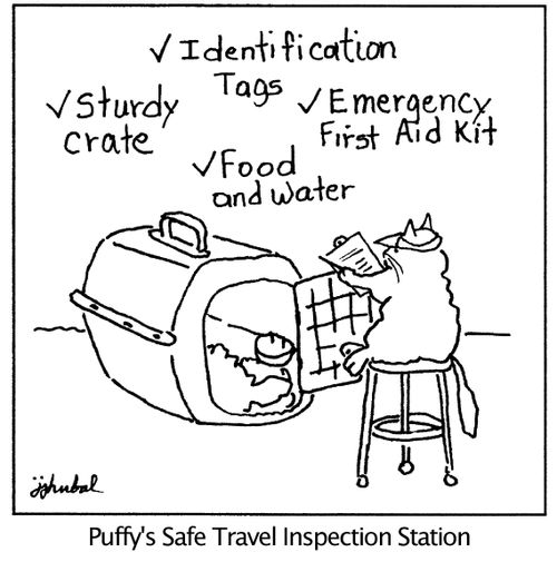 Puffy's Safe Travel Inspection Station