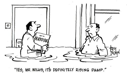 "Yes, Mr. Willis, it's definitely rising damp."