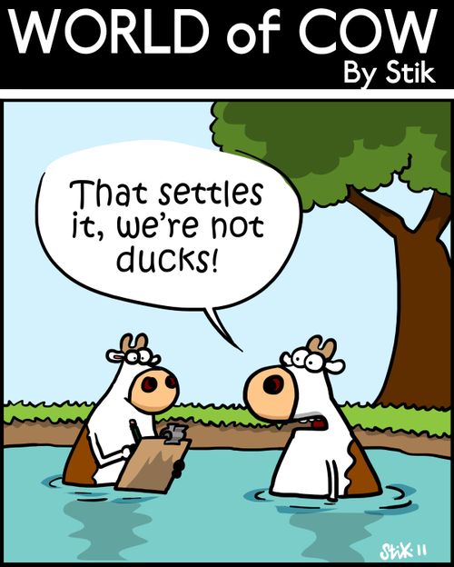 'That settles it, we're not ducks!'