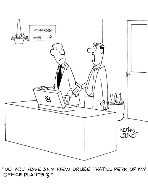 'Do you have any new drugs that'll perk up my office plants?'