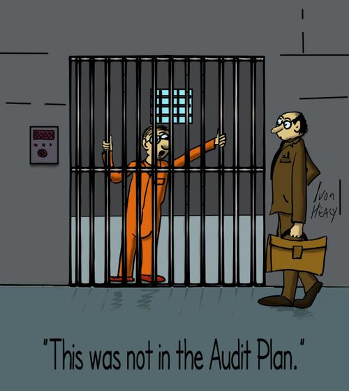 "This was not in the Audit Plan."