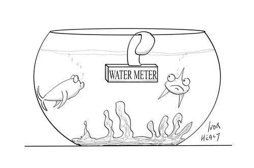 Water Meter
