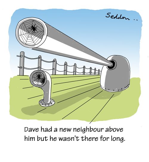 Dave had a new neighbour above him but he wasn't there for long.