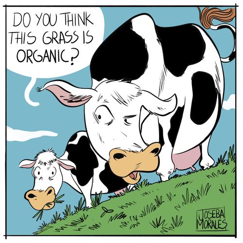 "Do you think this grass is organic?"