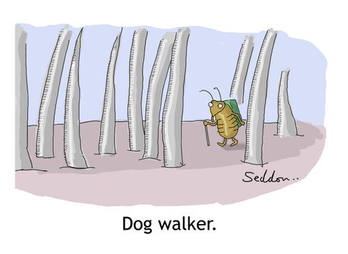 Dog walker