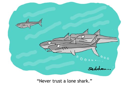 "Never trust a lone shark."