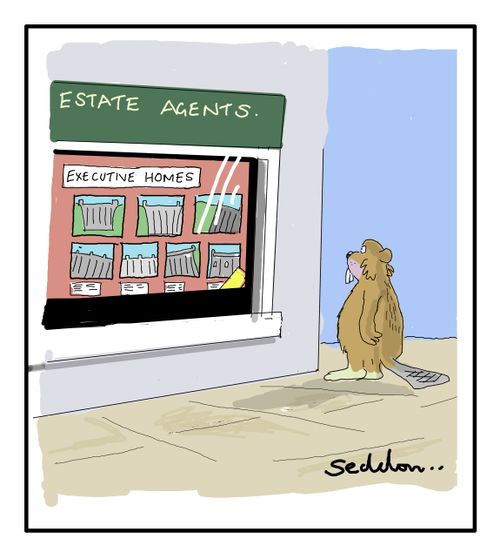 Estate Agents: Executive Homes