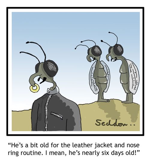 "He's a bit old for the leather jacket and nose ring routine. I mean, he`s nearly six days old!"
