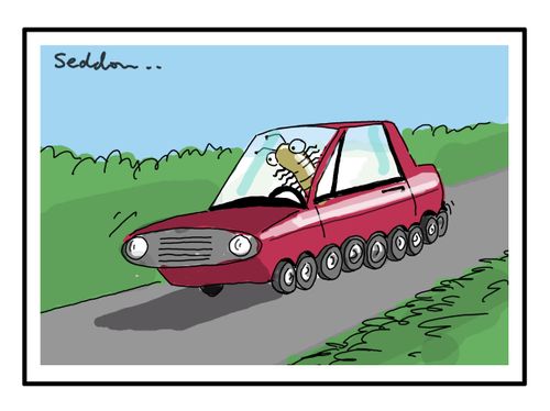 Millipede motorist