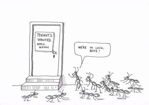 Tenants Wanted: "We're in luck, boys!"