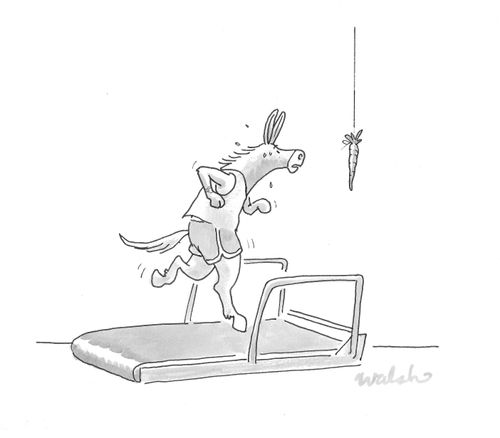 Carrot in front of the donkey workout.