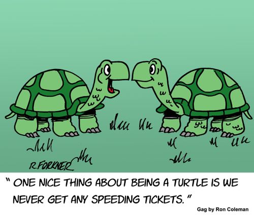 "One nice thing about being a turtle is we never get any speeding tickets."