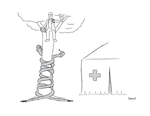 Real caduceus 
