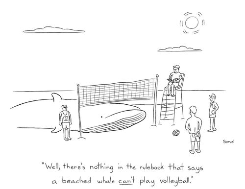 "Well, there's nothing in the rulebook that says a beached whale can't play volleyball."