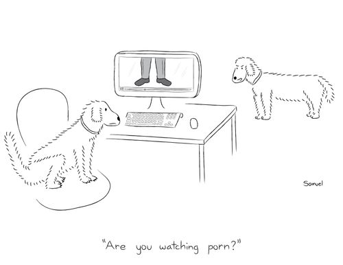 "Are you watching p**n?"