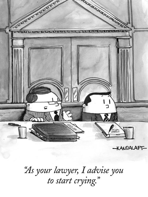 "As your lawyer, I advice you to start crying."