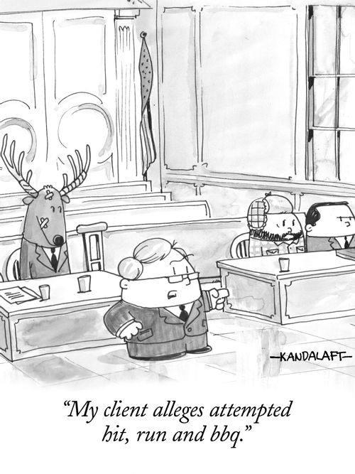 "My client alleges attempted hit, run and bbq."