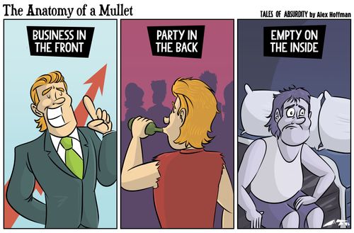 The Anatomy of a Mulllet