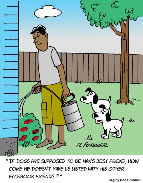 "If dogs are supposed to be man's best friend, how come he doesn't have us listed with his other facebook friends?"