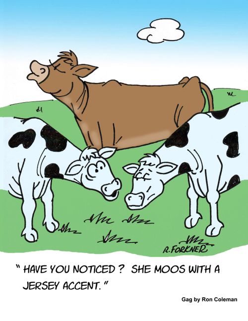Cow Moos With A Jersey Accent