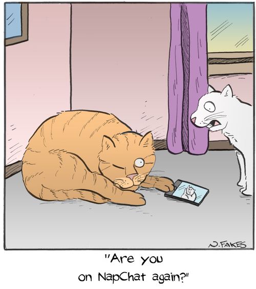 "Are you on NapChat again?"