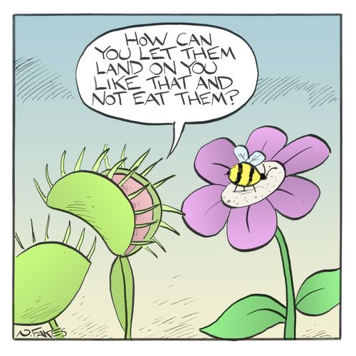 "How can you let them land on you like that and not eat them?"