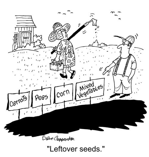 "Leftover seeds."