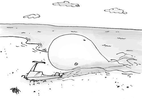 A large whale is beached on the shore from crashing on his jet ski.