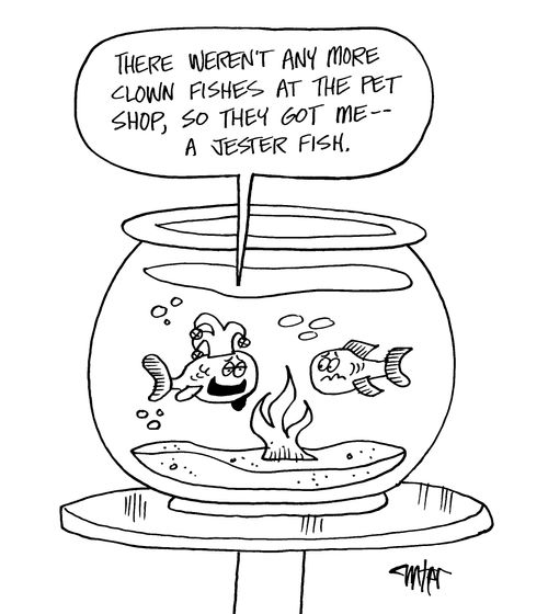 "There weren't any more clown fishes at the pet shop, so they got me - a jester fish."
