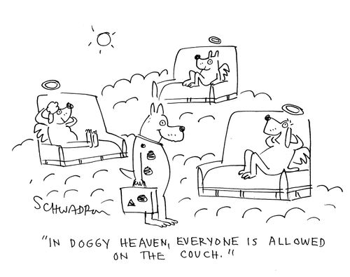 'In doggy heaven, everyone is allowed on the couch.'