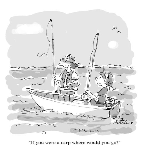 'If you were a carp where would you go?'