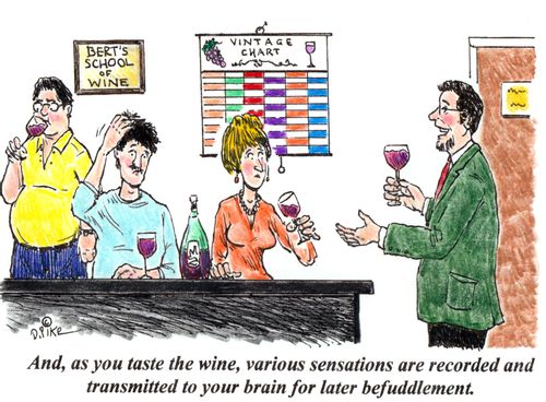'And, as you taste the wine, various sensations are recorded and transmitted to your brain for later befuddlement.'